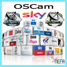 OSCAM FULL SERVER 12 AYLIK (SÜPER PAKET 4K-HD-SD) KESİNTİSİZ YAYIN KALİTESİ...