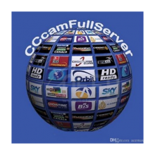 12 Ay Cccam Server  (HD VE SD)